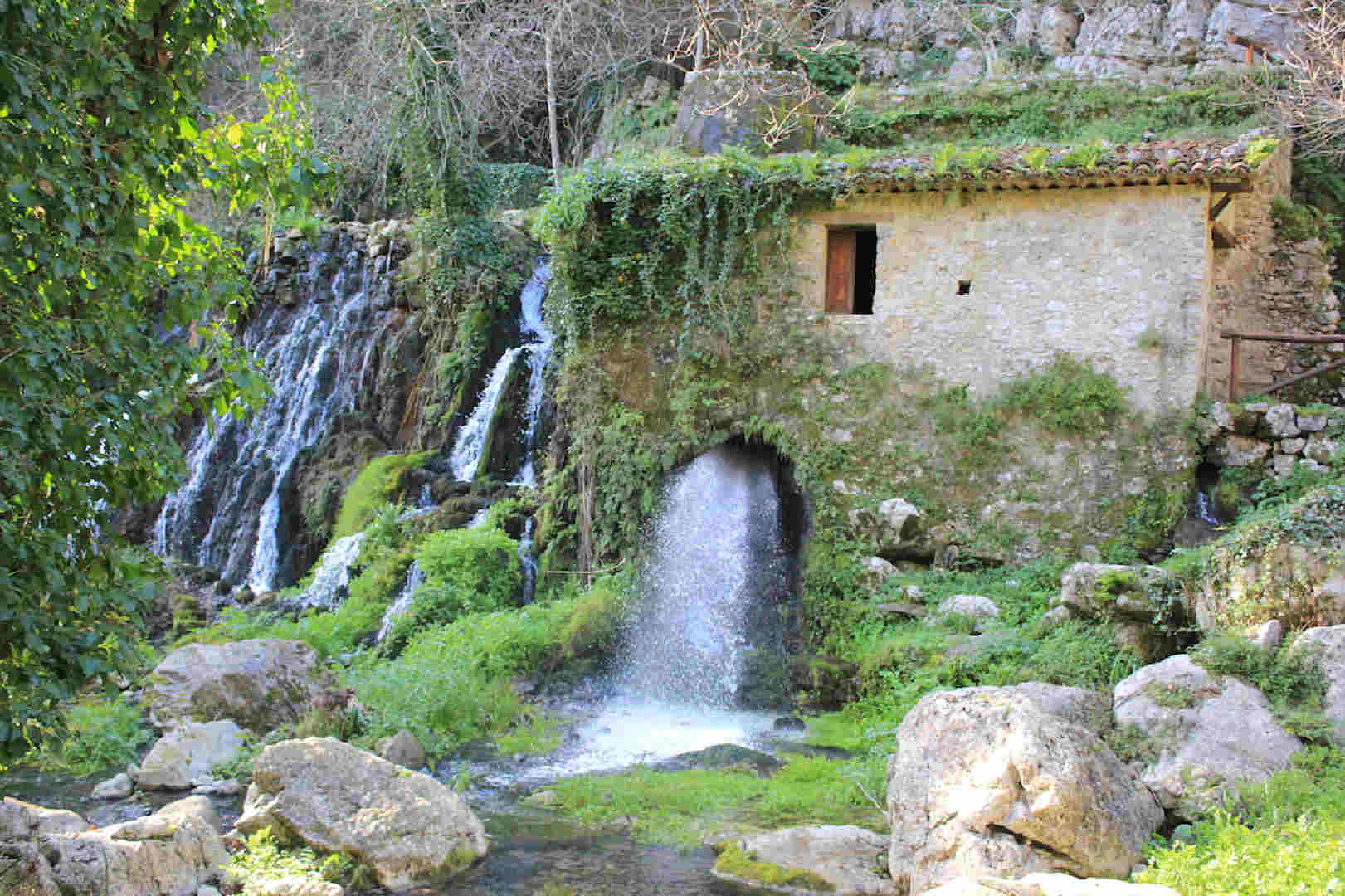 Sentiero naturalistico immerso nel verde